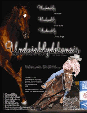 Undniablydebonair