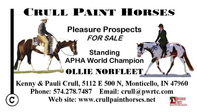 Crull Paint Horses