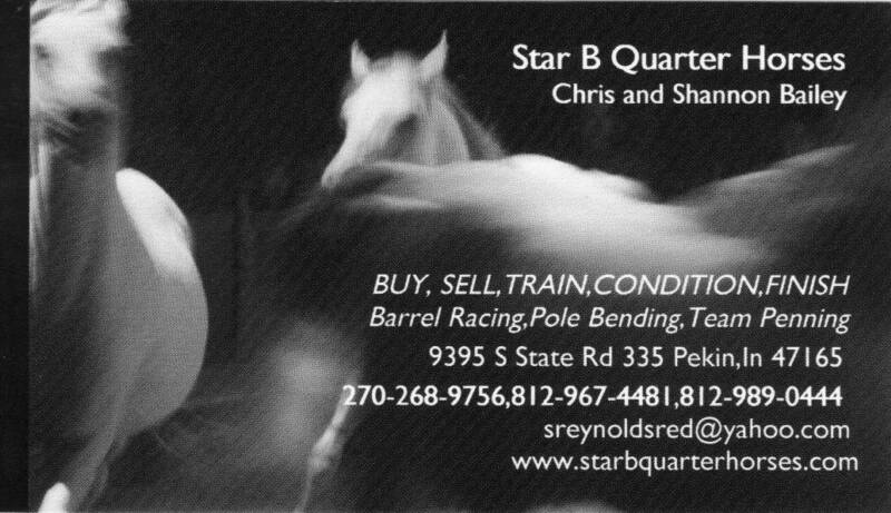 Star B Quarter Horses