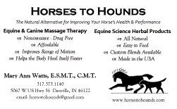 Horses to Hounds