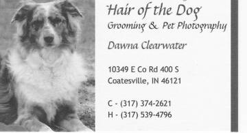 Hair of the Dog