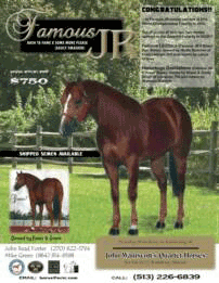Famous JR