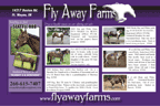Fly Away Farms - Seattle Rob