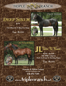Deep Sixum - JL Turn Ta Fame - Triple N Ranch - Jeanette Nelson - Triple Crown 100