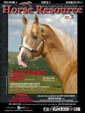 March Issue - Synergy Stables - Frenchmans Guy