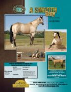 Myers Performance Horses - Home of Frenchmans Guy
