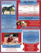 Alpha Equine - Standing:  Mr Perks & True Superstar