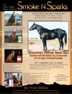 Bar 3 Stables- Standing SMoke N Sparks - Son of Dash for Perks