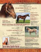 Darrel Henry Quarter Horses - Lead the Field, La Jollas Gold, Dashing Val