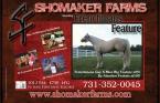 Shomaker Farms
