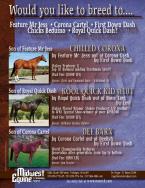 Midwest Equine and Veterinary Hospital