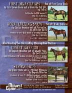 Midwest Equine and Veterinary Hospital