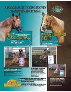 Myers Performance Horses - Home of Frenchmans Guy