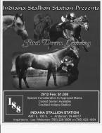 Indiana Stallion Station - First Down Leaving