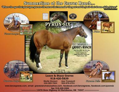 Pyron Six standing at Graves Ranch