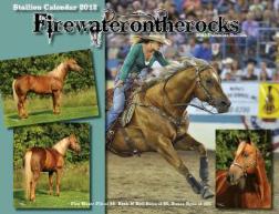 2012 Stallion Calendar