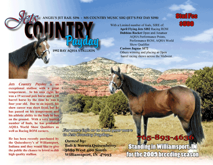 Crashed the Party - AQHA Stallion